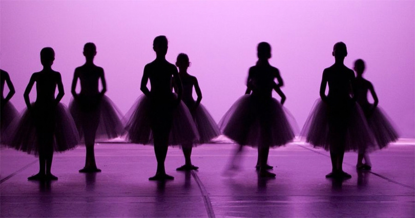 A row of ballet dancers in tutus silhouetted against a violet stage